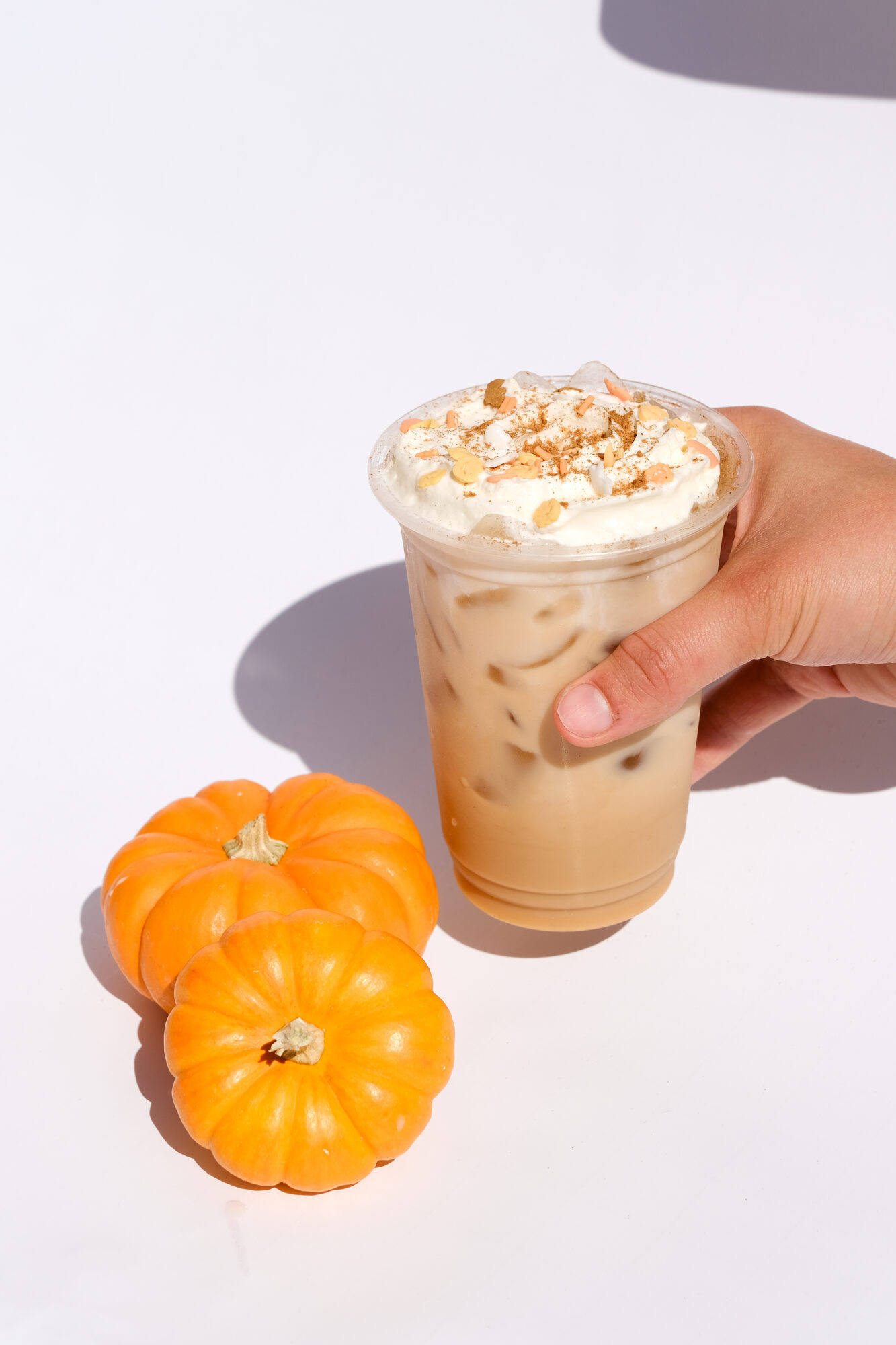 Fall menu hero shot